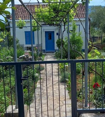 Studio Apartman Roza Ston Kültér fotó