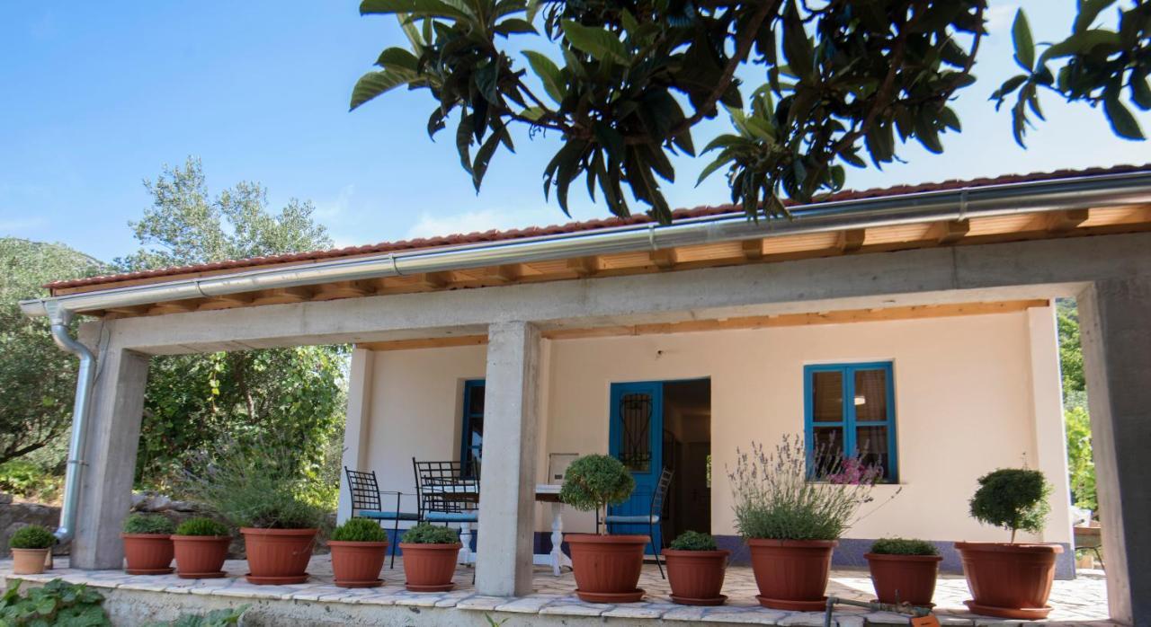 Studio Apartman Roza Ston Kültér fotó